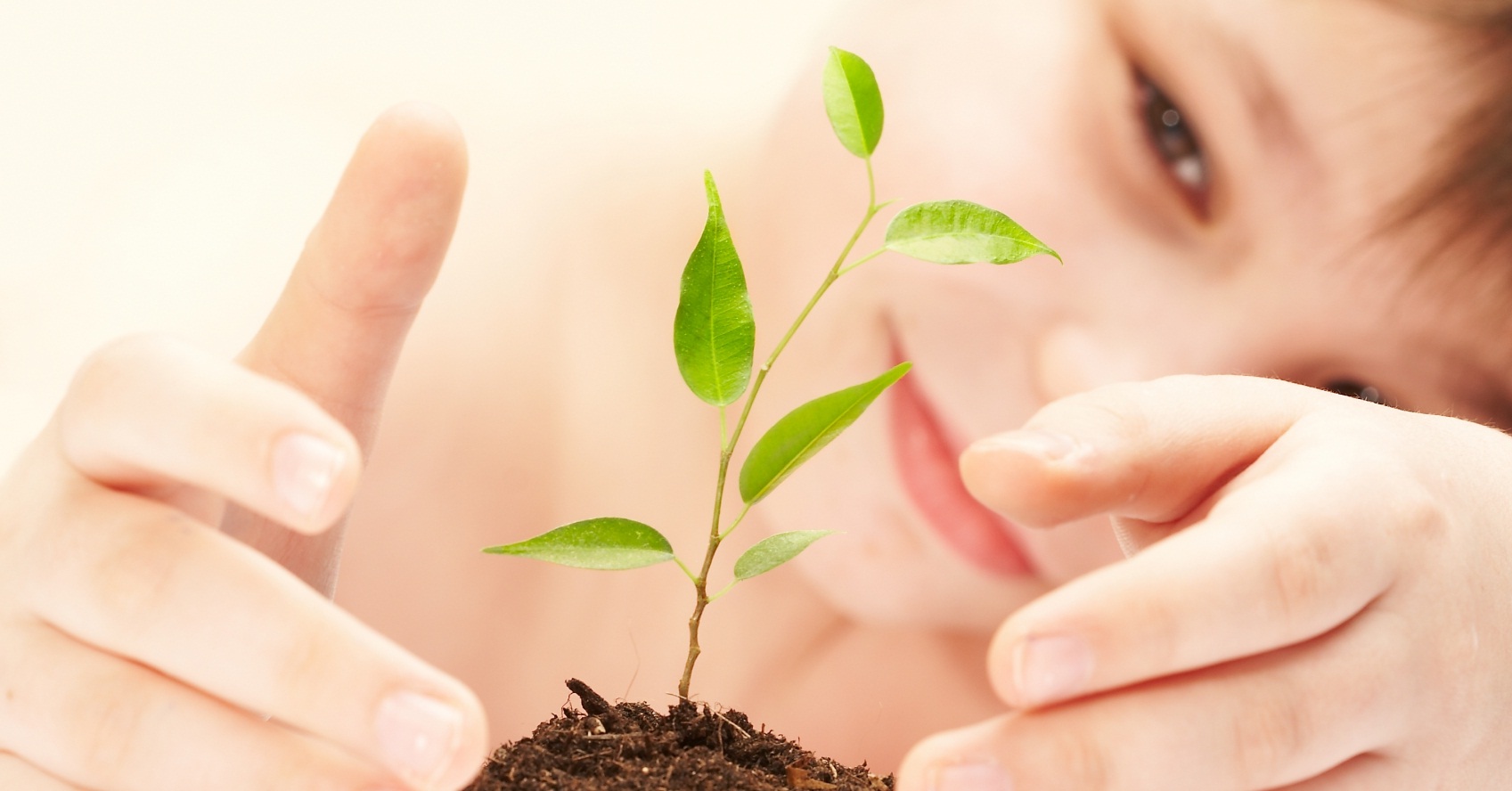 construindo e reciclando