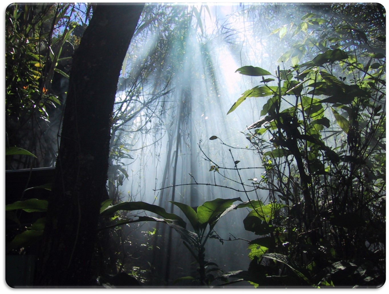 responsabilidade e sustentabilidade